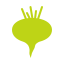external beet-agriculture-gardening-glyph-chroma-amoghdesign icon