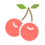 external berries-spring-glyph-chroma-amoghdesign icon