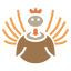 external bird-thanksgiving-day-glyph-chroma-amoghdesign icon