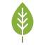 external ecology-spring-glyph-chroma-amoghdesign icon