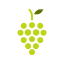 external fruit-agriculture-gardening-glyph-chroma-amoghdesign icon
