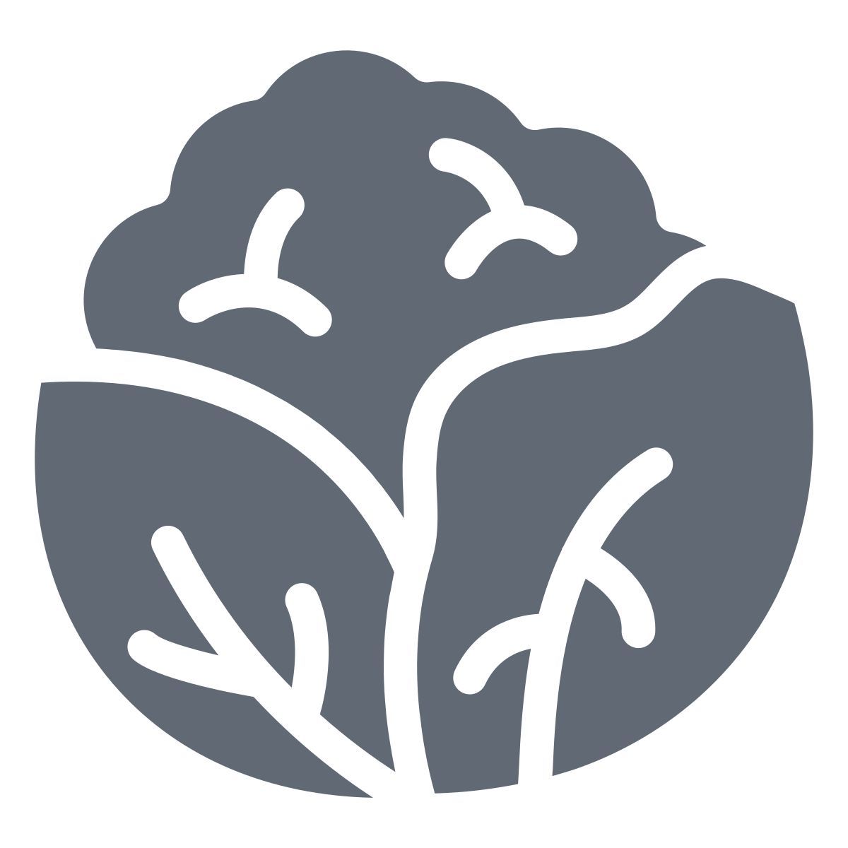 콜리플라워 icon