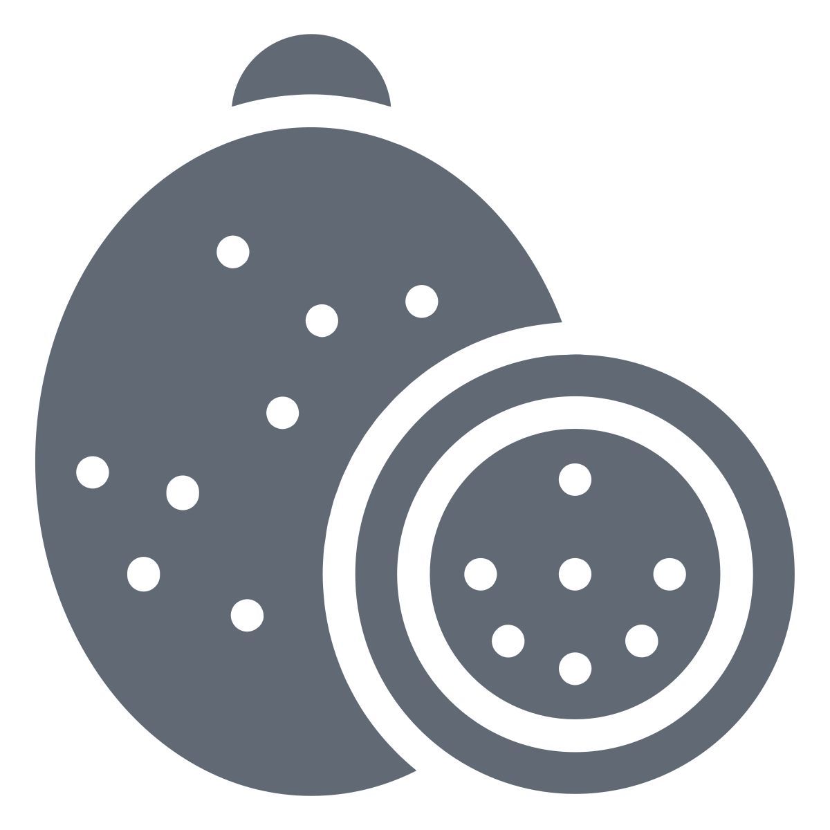 kiwi icon