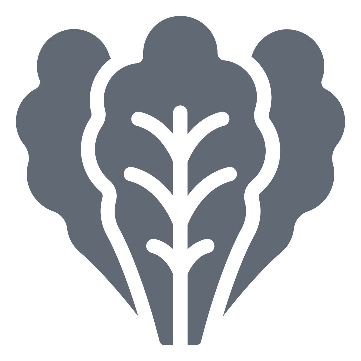 lettuce icon