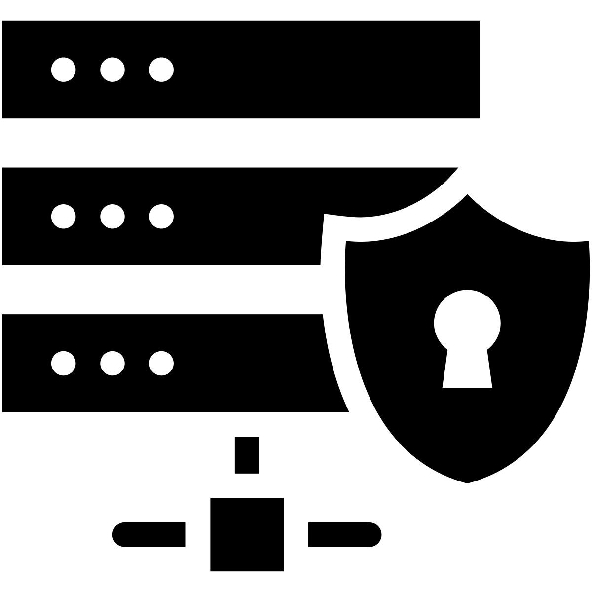 sécurité du serveur icon
