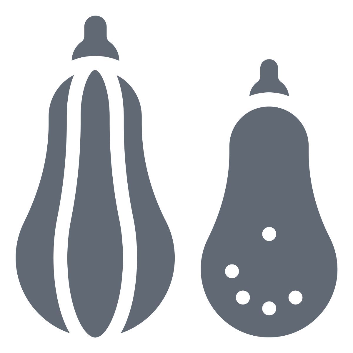 squash icon