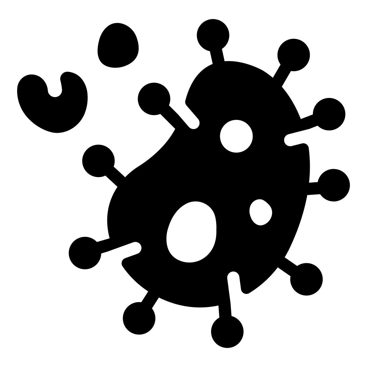bacteria icon