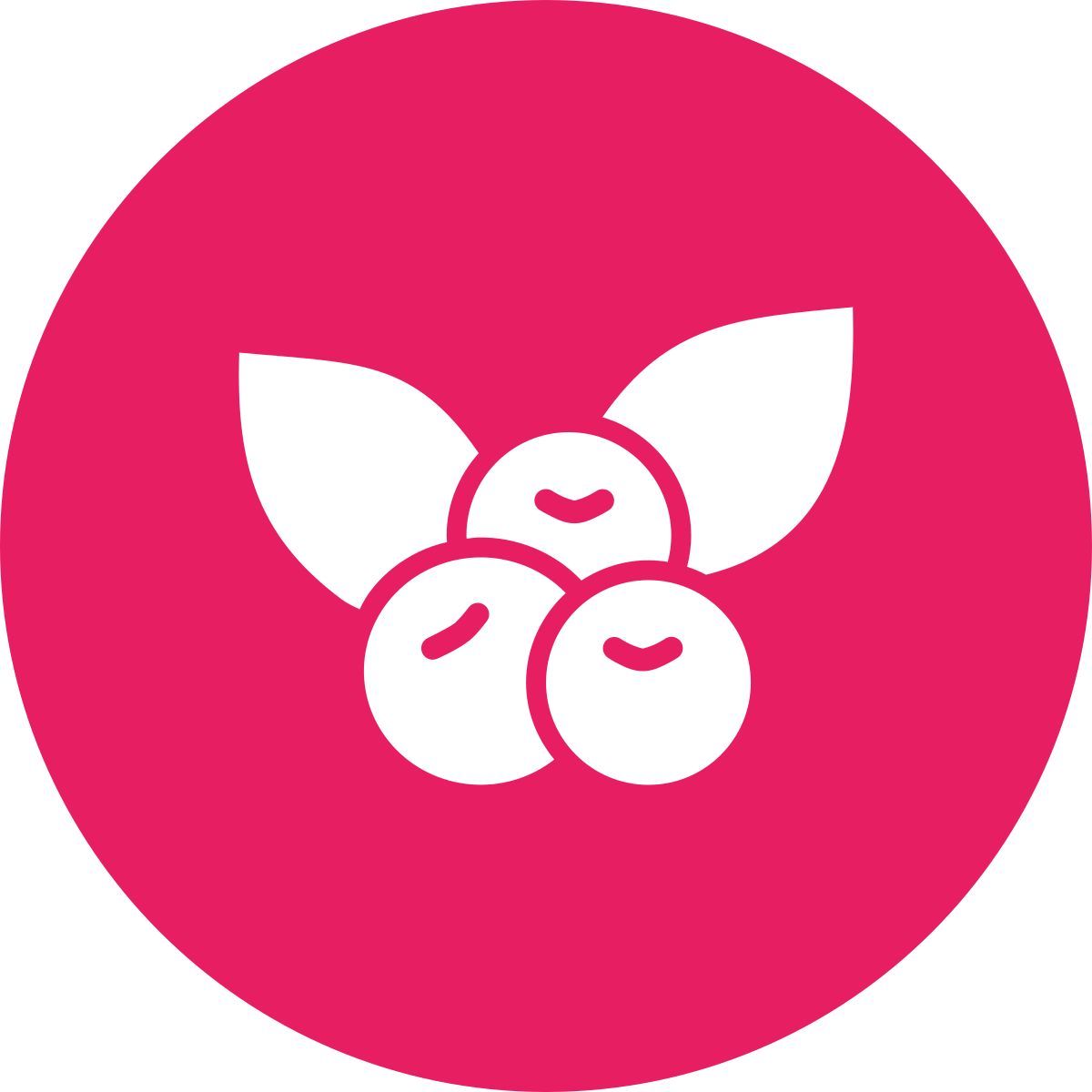 frutti di bosco icon