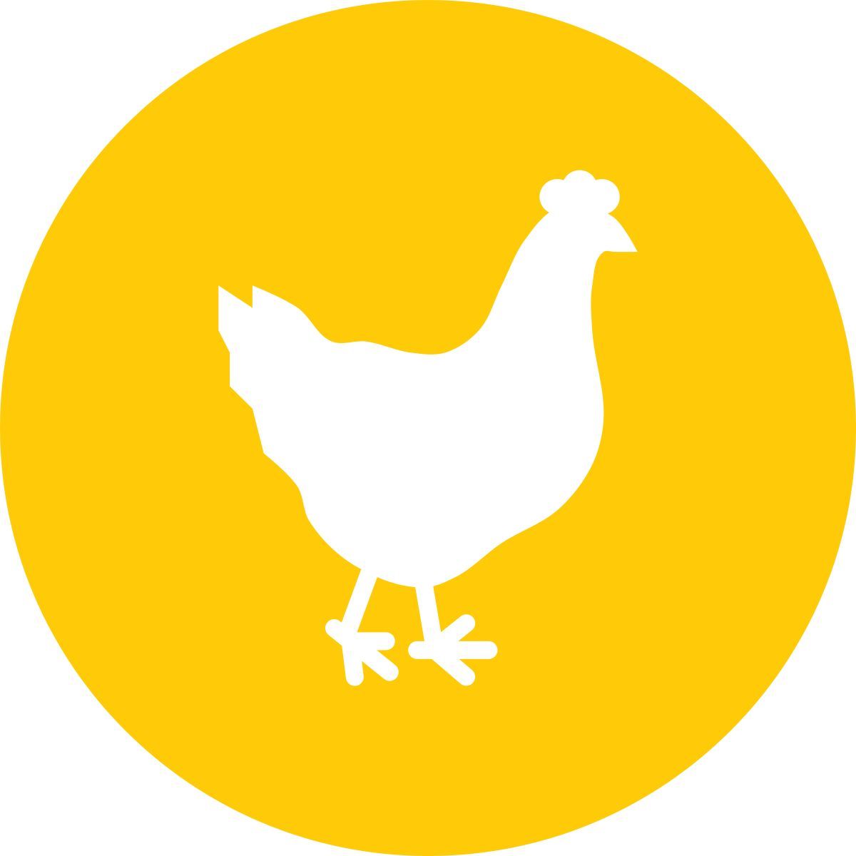 uccello icon