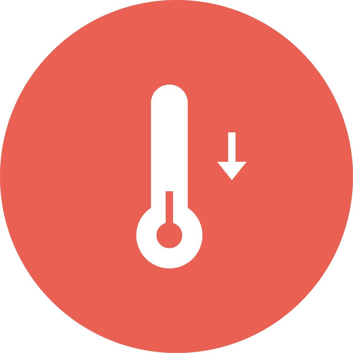 cold icon