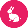 external animal-easter-vol-1-glyph-on-circles-amoghdesign icon