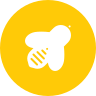 external apiary-autumn-glyph-on-circles-amoghdesign icon