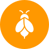 external apiary-spring-glyph-on-circles-amoghdesign icon