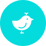 external bird-spring-glyph-on-circles-amoghdesign icon