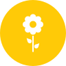 external blossom-spring-glyph-on-circles-amoghdesign icon