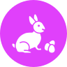 external bunny-easter-vol-2-glyph-on-circles-amoghdesign icon