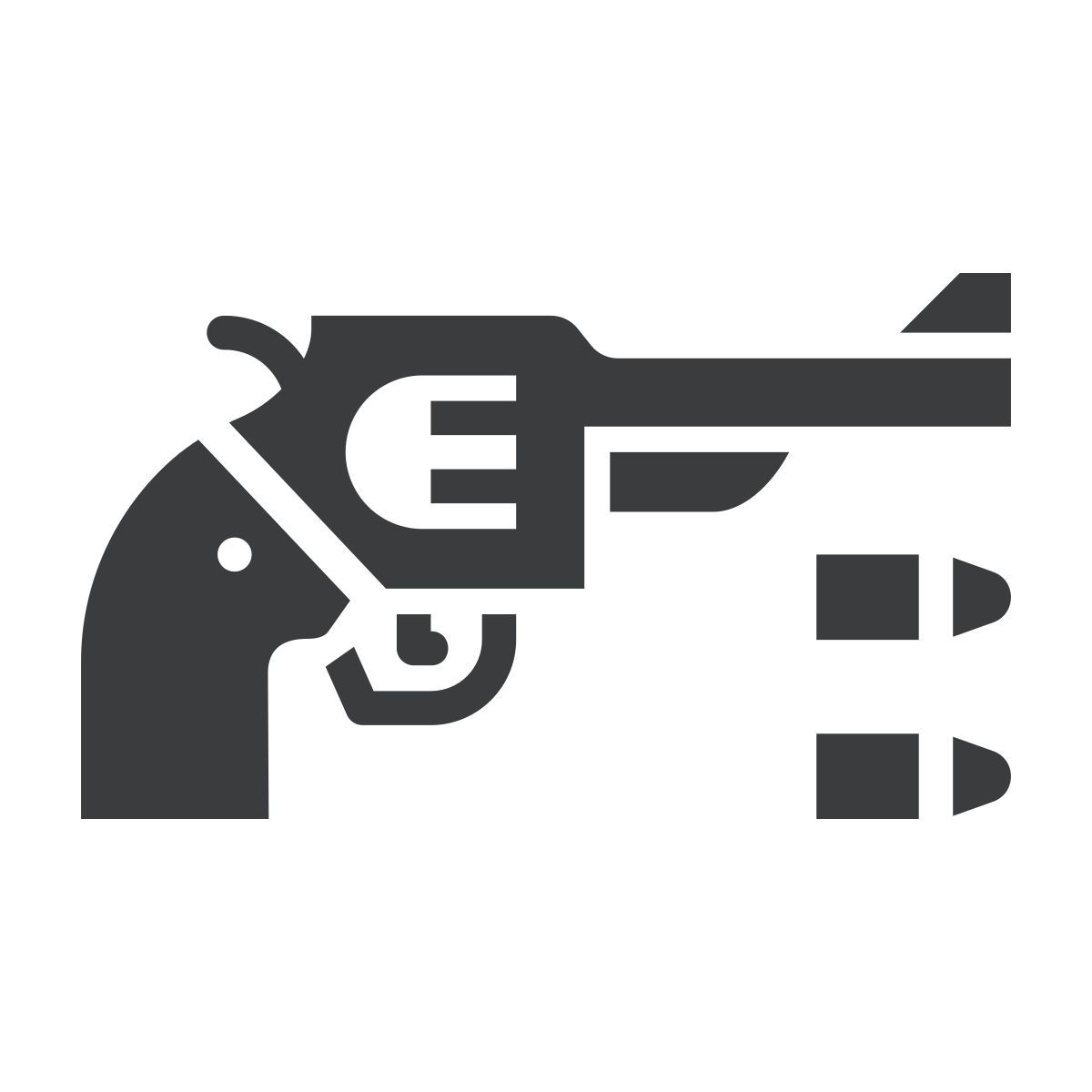 ammunition icon