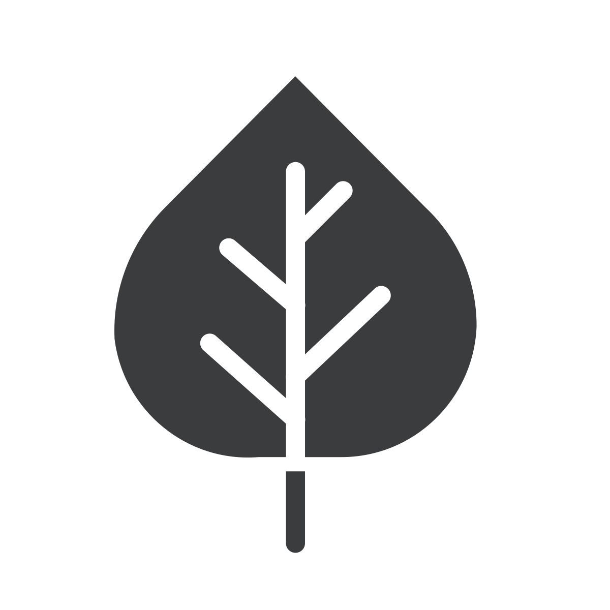 álamo temblón icon