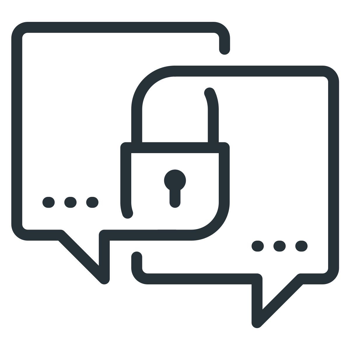 encryption icon