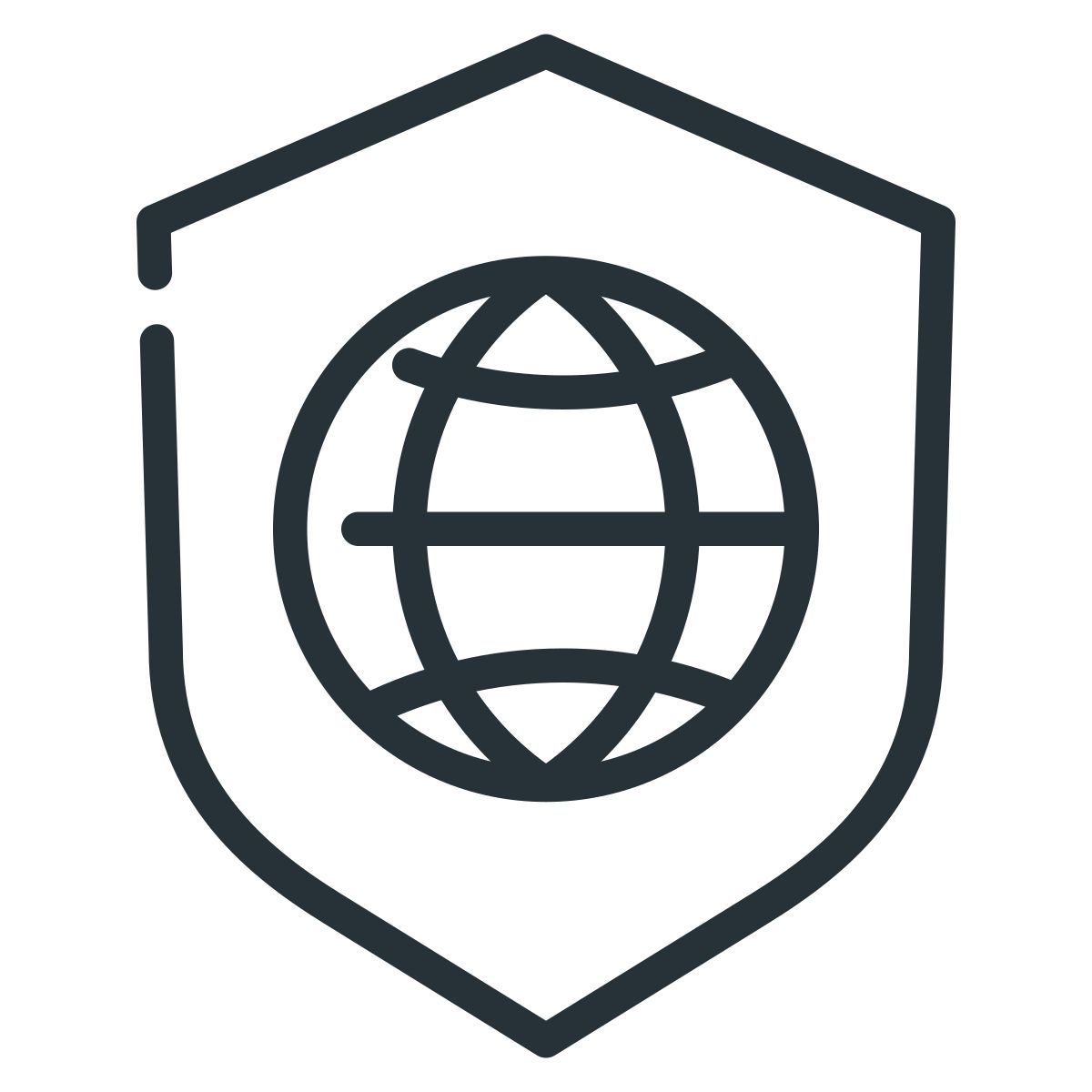 protection icon