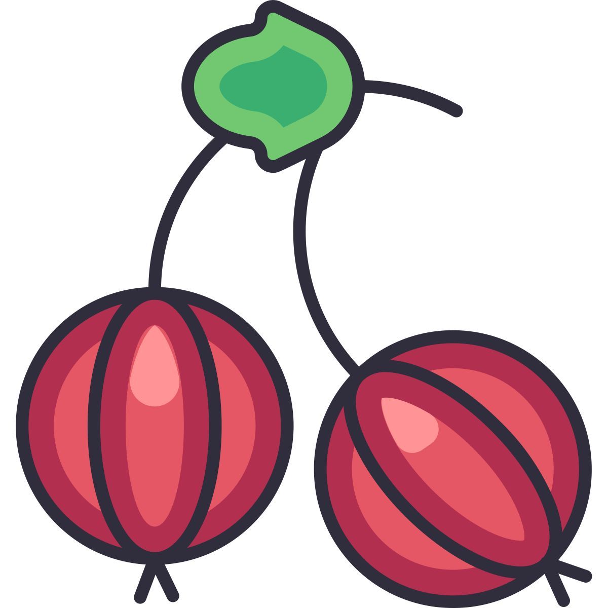 gooseberry icon