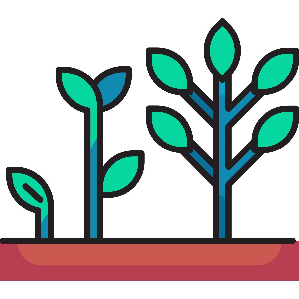 growing tree icon