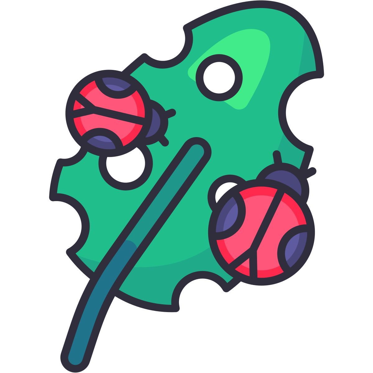 lady bug in leaf icon