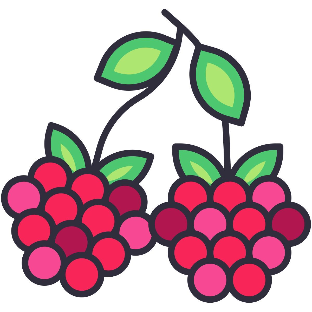 raspberry icon