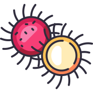 external Rambutan-fruit-goofy-color-kerismaker icon