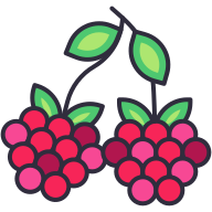 external Raspberry-fruit-goofy-color-kerismaker icon