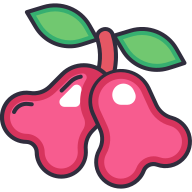 external Rose-Apple-fruit-goofy-color-kerismaker icon