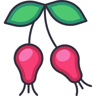 external Rosehip-fruit-goofy-color-kerismaker icon