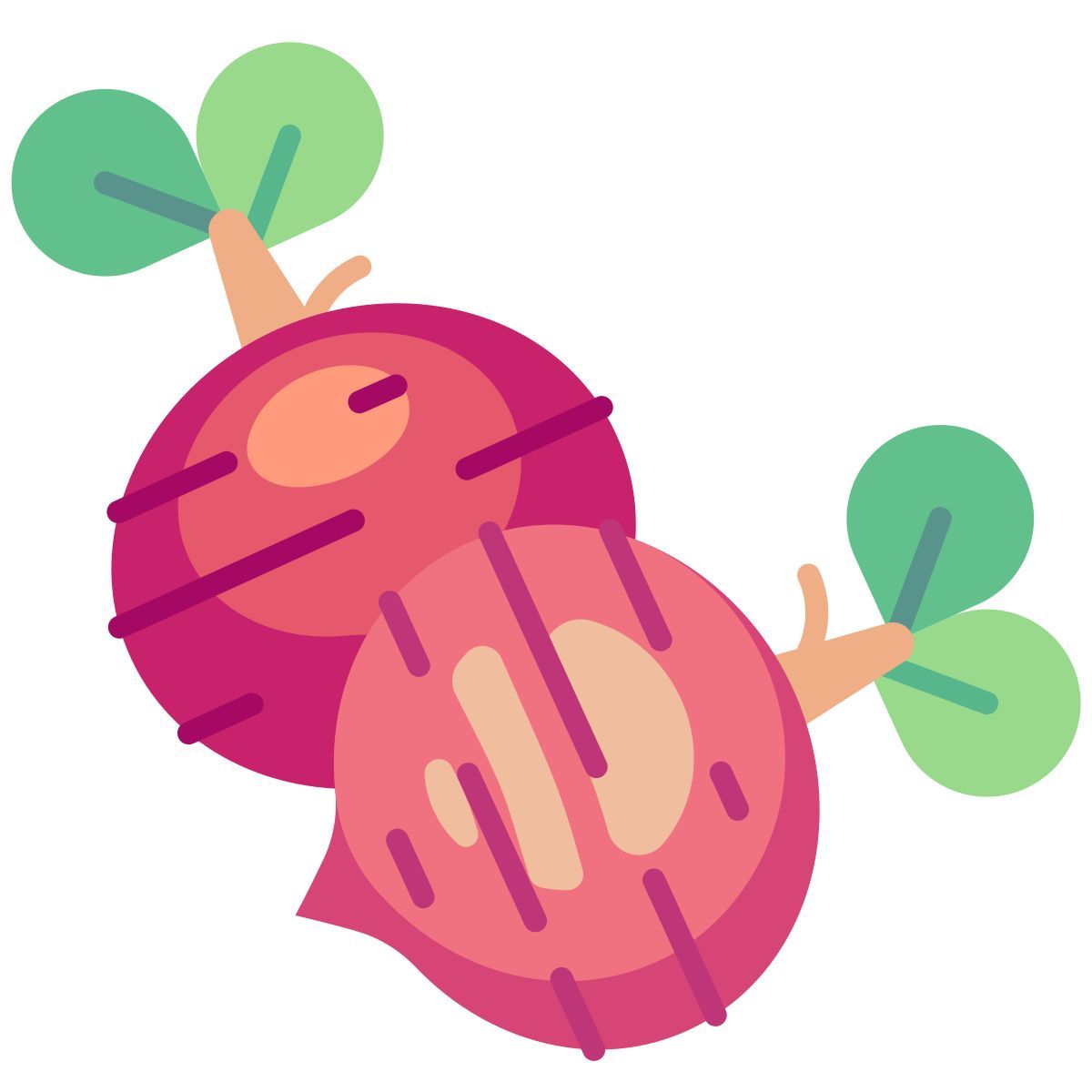 beet icon