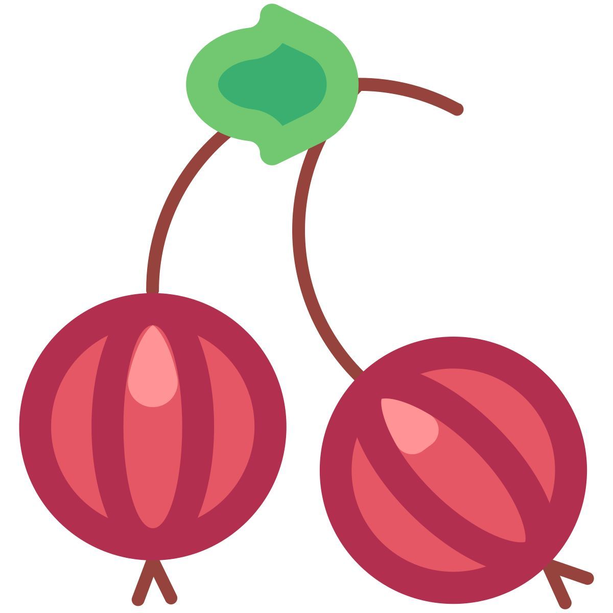 gooseberry icon