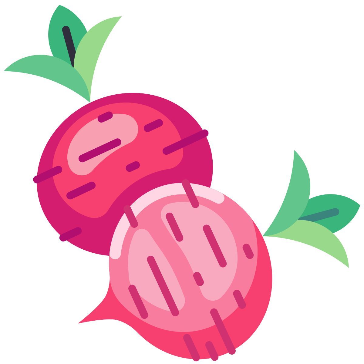 Rábano rojo icon