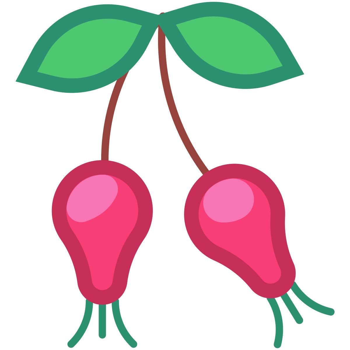 rosehip icon