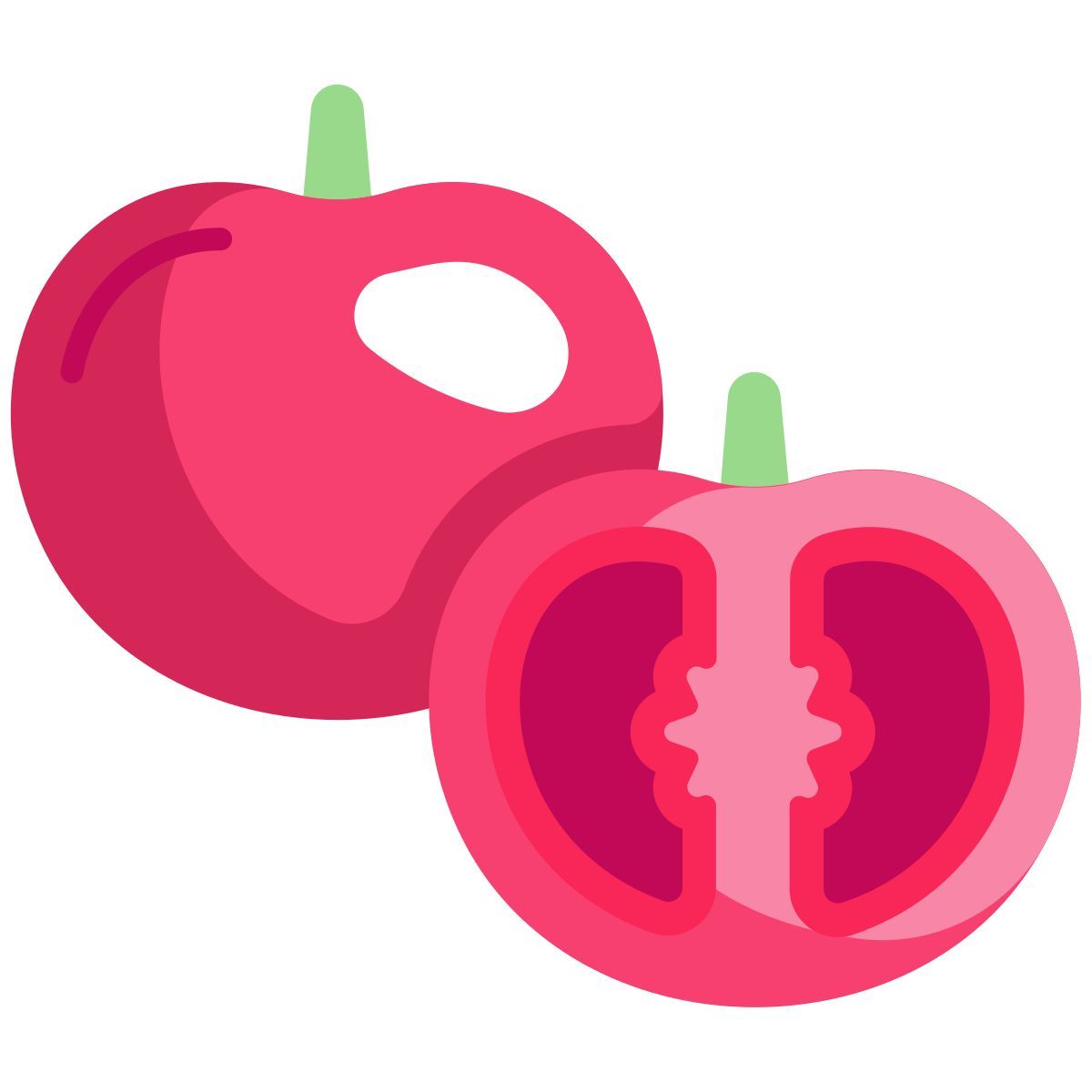 tomate icon