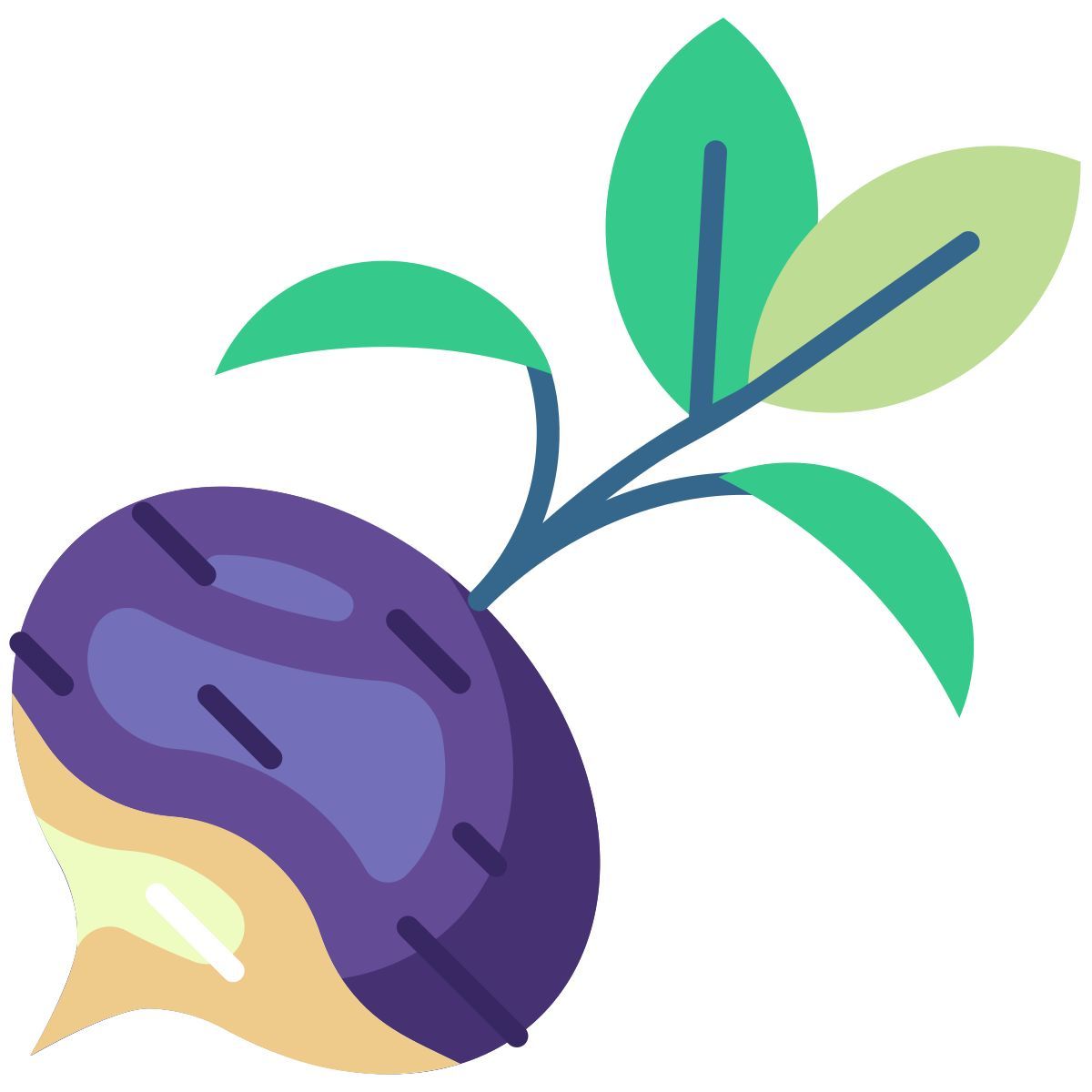 turnip icon