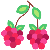 external Raspberry-fruit-goofy-flat-kerismaker icon