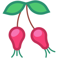 external Rosehip-fruit-goofy-flat-kerismaker icon