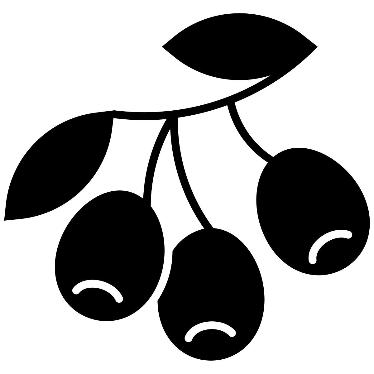 aceituna icon