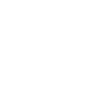 feature-icon