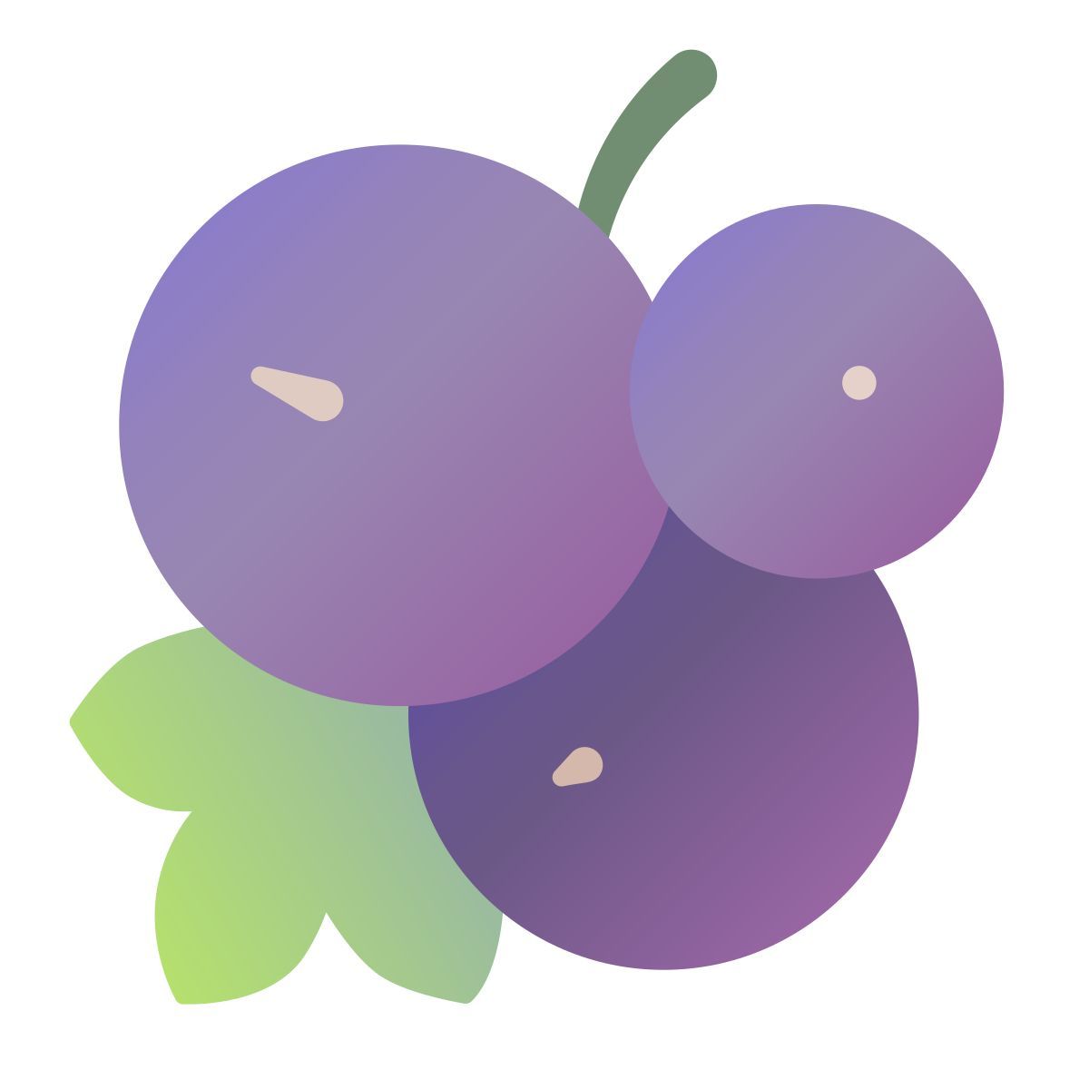 currant icon