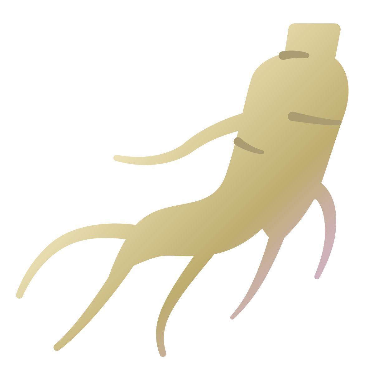 ginseng icon