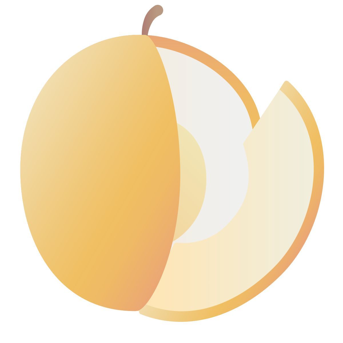 melon icon