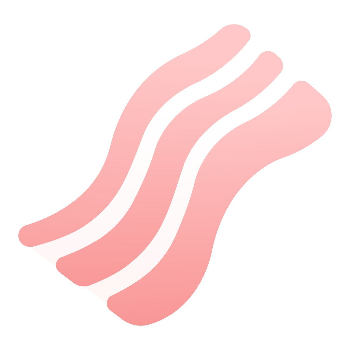 bacon icon