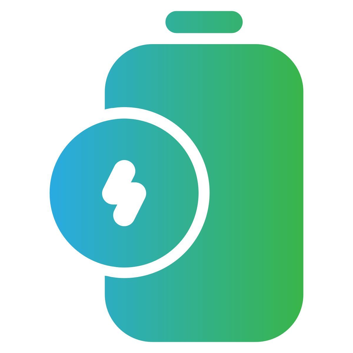 charged battery icon