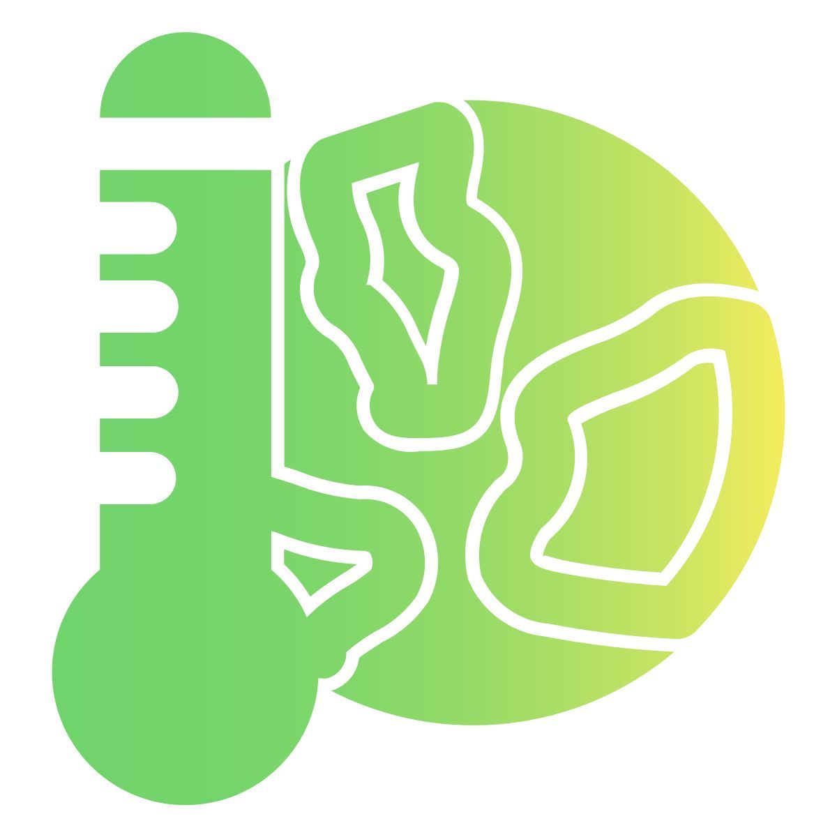 earth temperature icon
