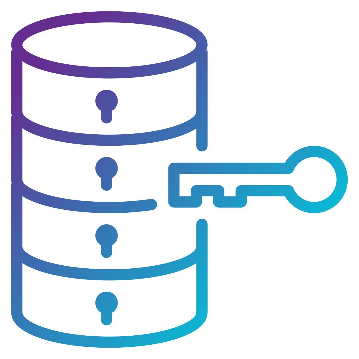 access icon