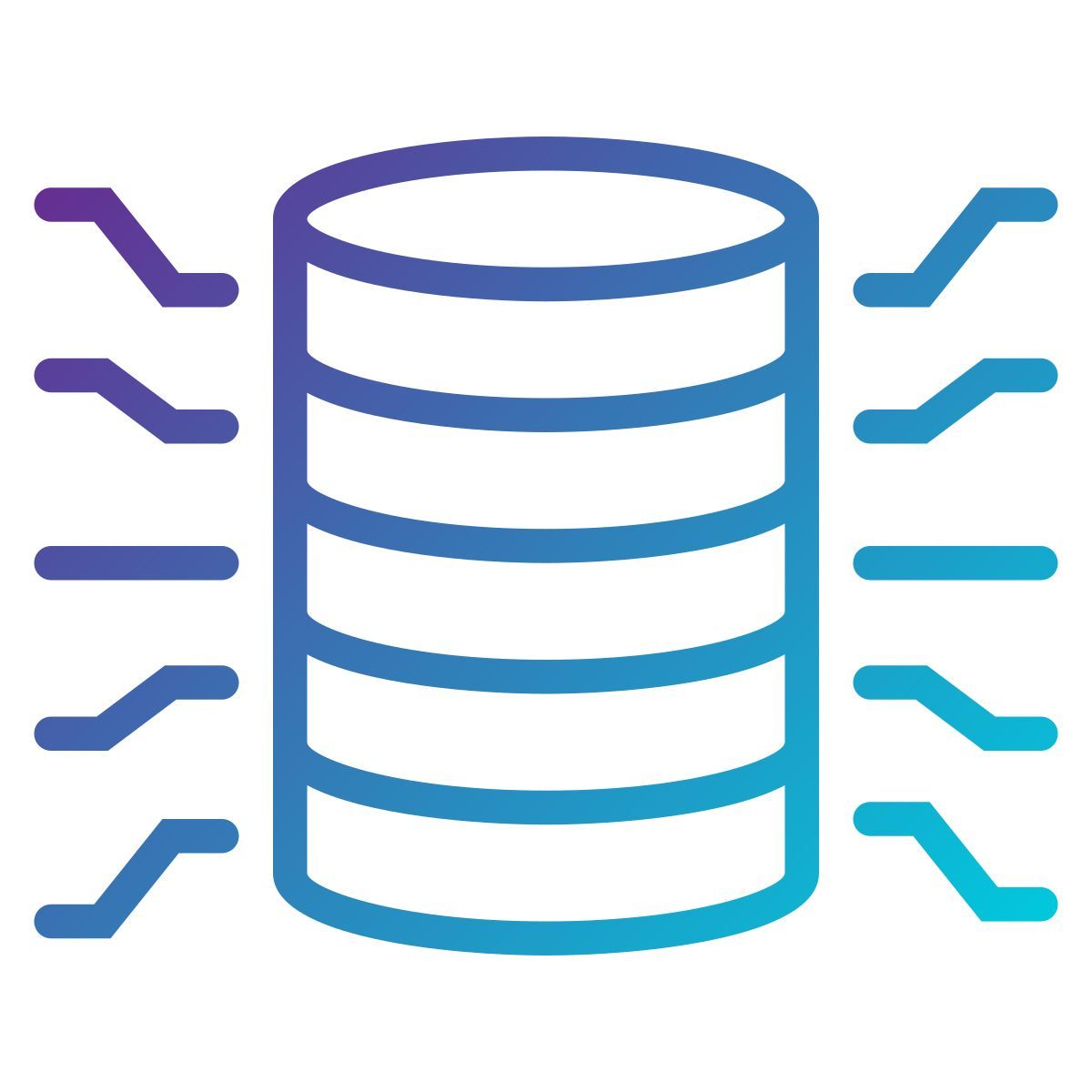 data icon